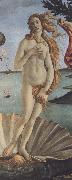 Sandro Botticelli The Birth of Venus (mk36) USA oil painting reproduction